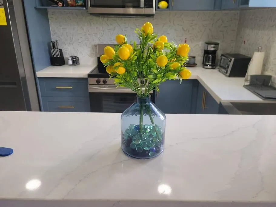 The Blooming Blaze Appartement Kingston